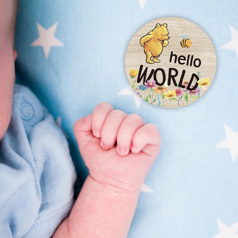 PAMBO The Winnie Baby Bear Month Milestone Circles, Wooden Discs Stuff for Baby Photo Takens with Hello World Name Signs - 7Pcs Double Sided Signs for Documenting Growth - Image 2